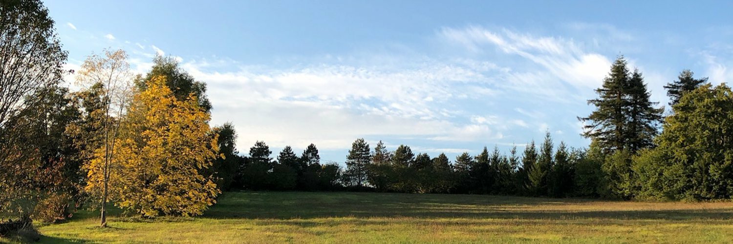 dmfenton's profile header