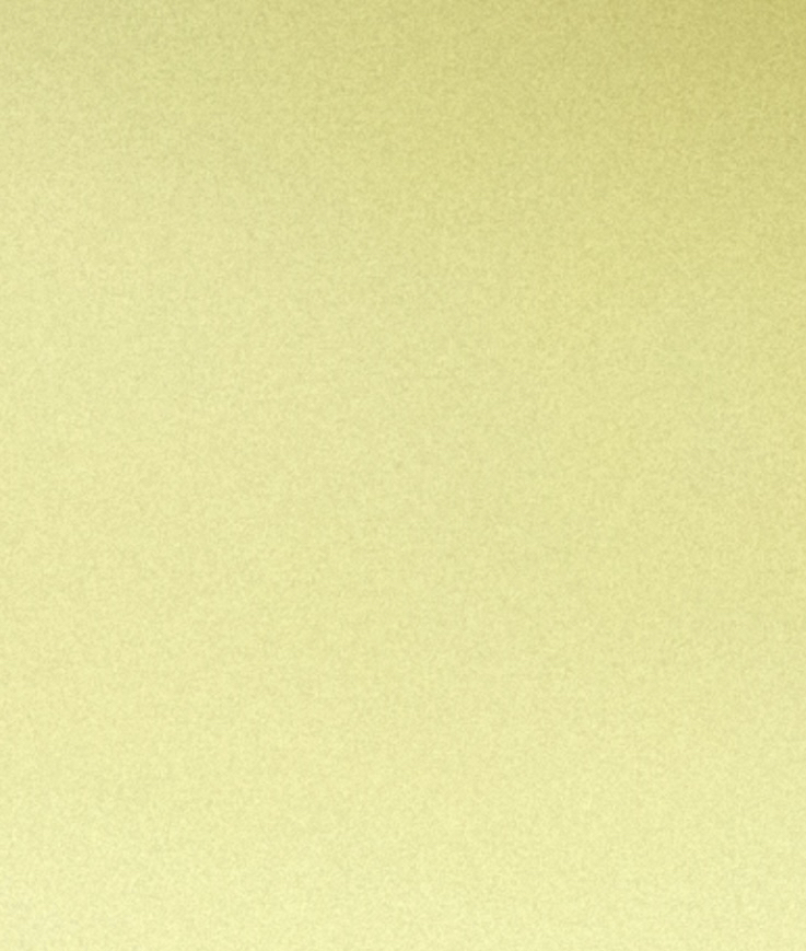 rg's profile header