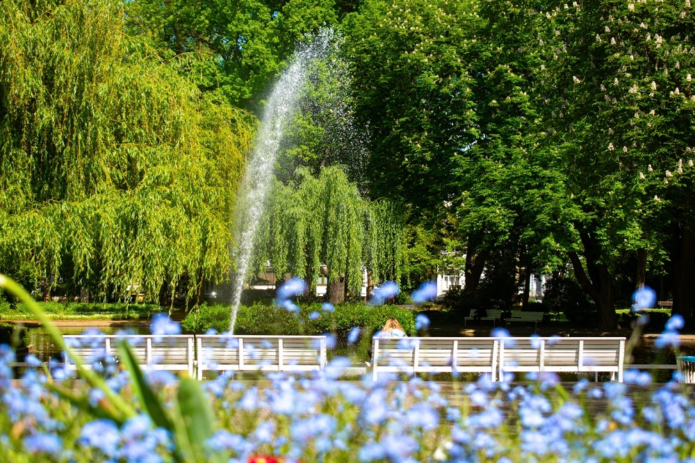 BundesstadtBonn's profile header