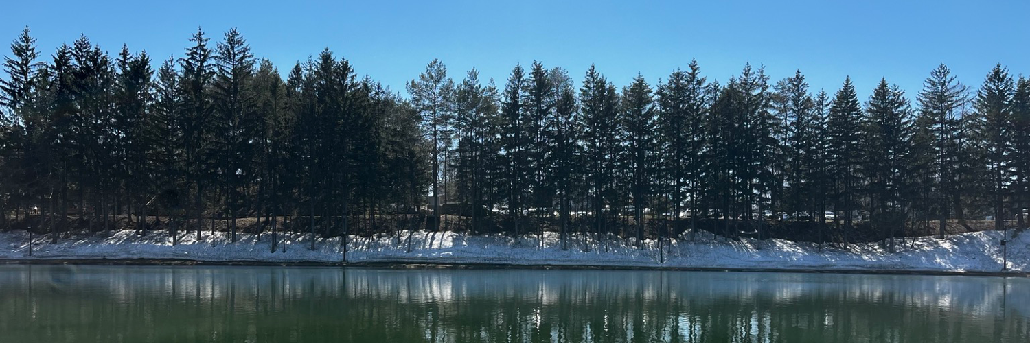 afastaudir8's profile header