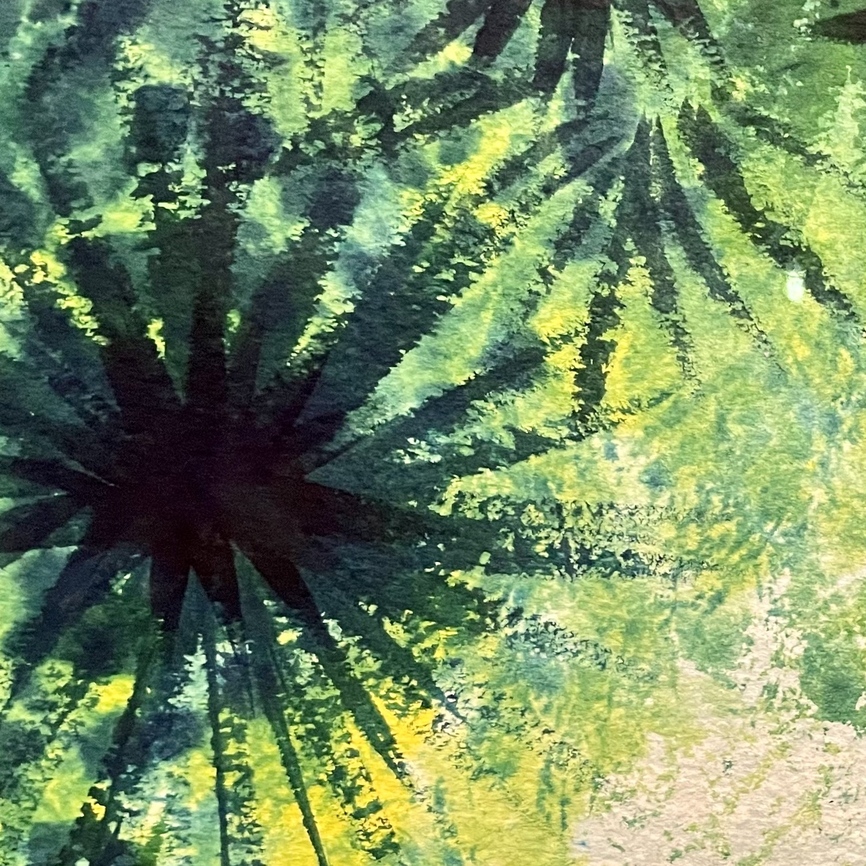 tylerstone's profile header