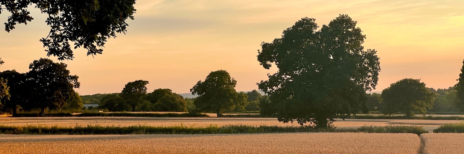 keir's profile header