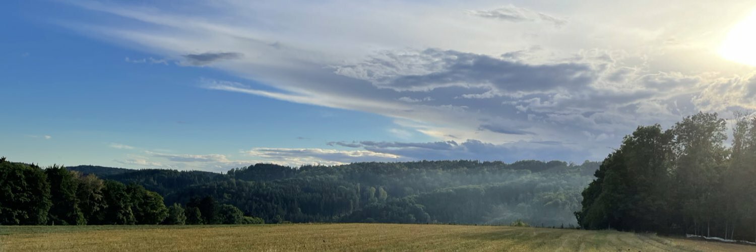 FroehlichMarcel's profile header