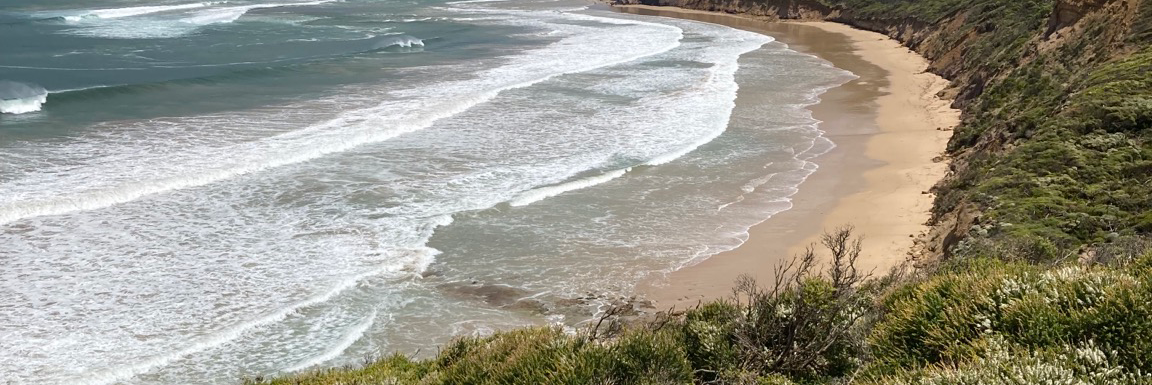 seasiders2's profile header