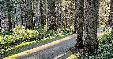 Krosen_nw's profile header