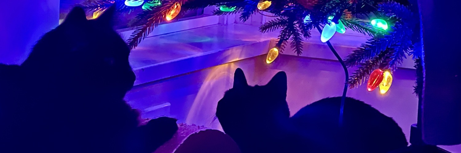 giflian's profile header