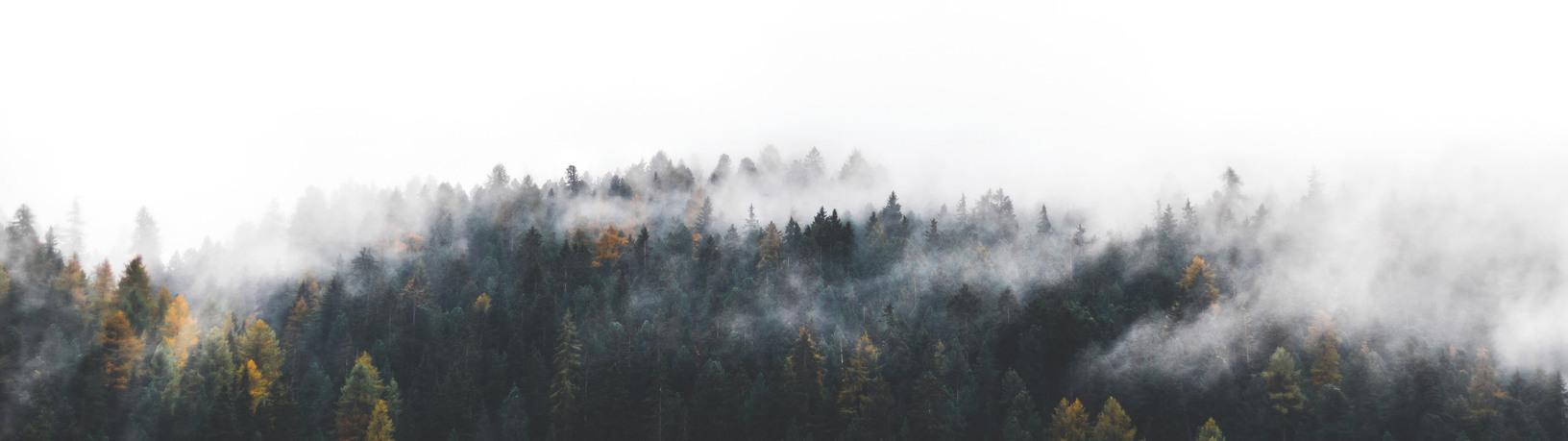 gauke's profile header