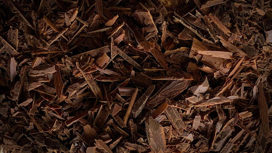 schokolade's profile header