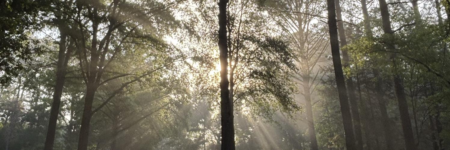aburtch's profile header