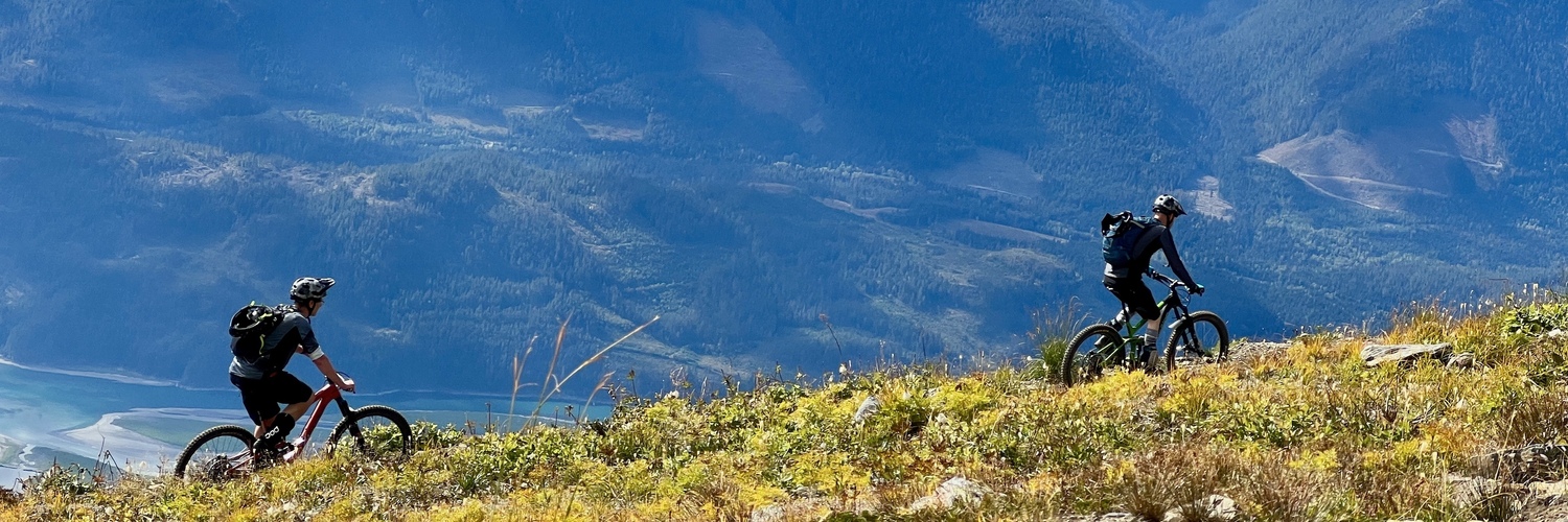 todd's profile header