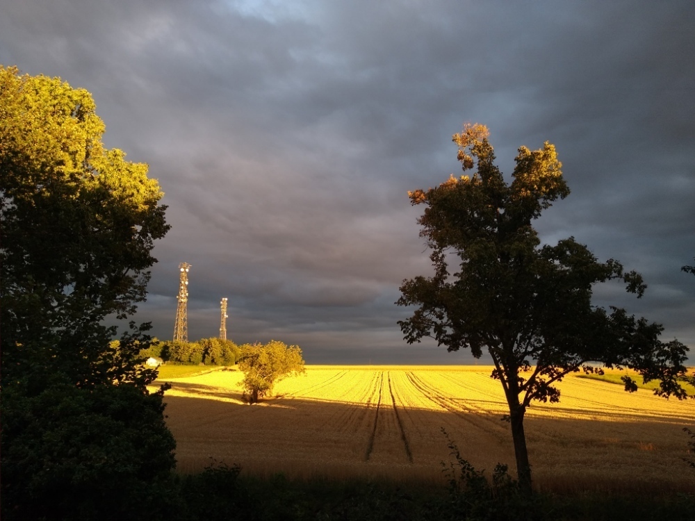 greenback's profile header