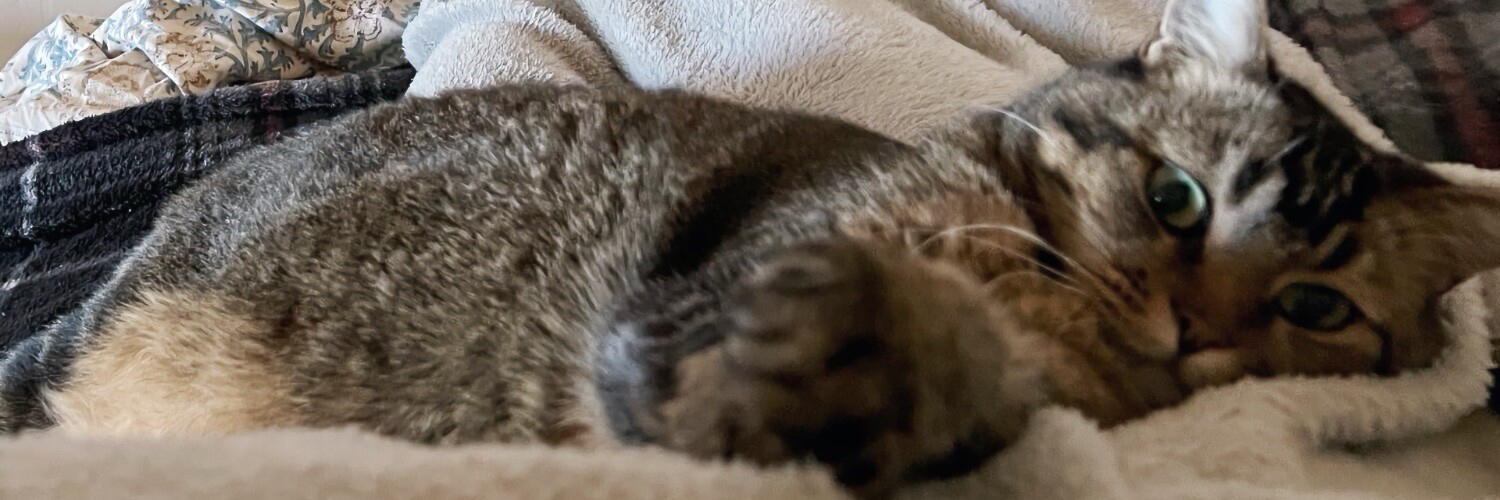 oedipusnj's profile header