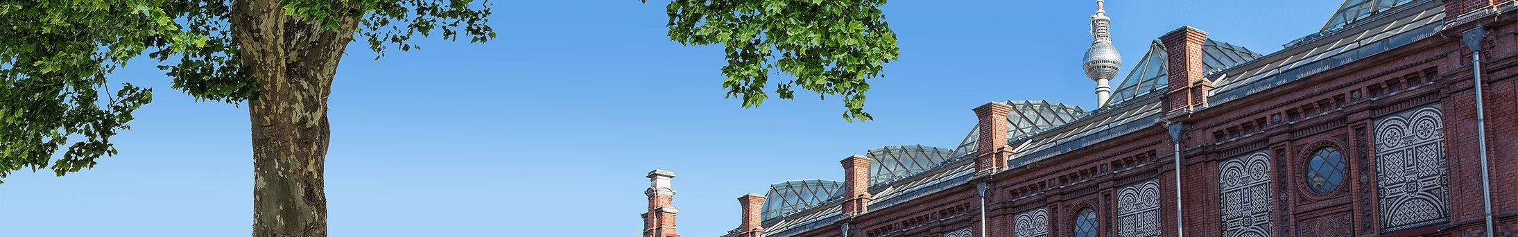 recht_energisch's profile header