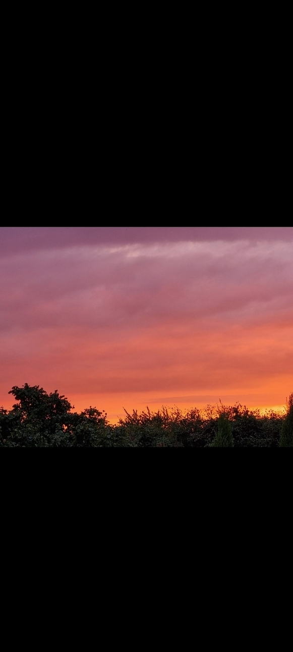 DemonPrincess's profile header