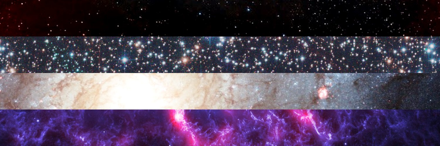 zumicake's profile header