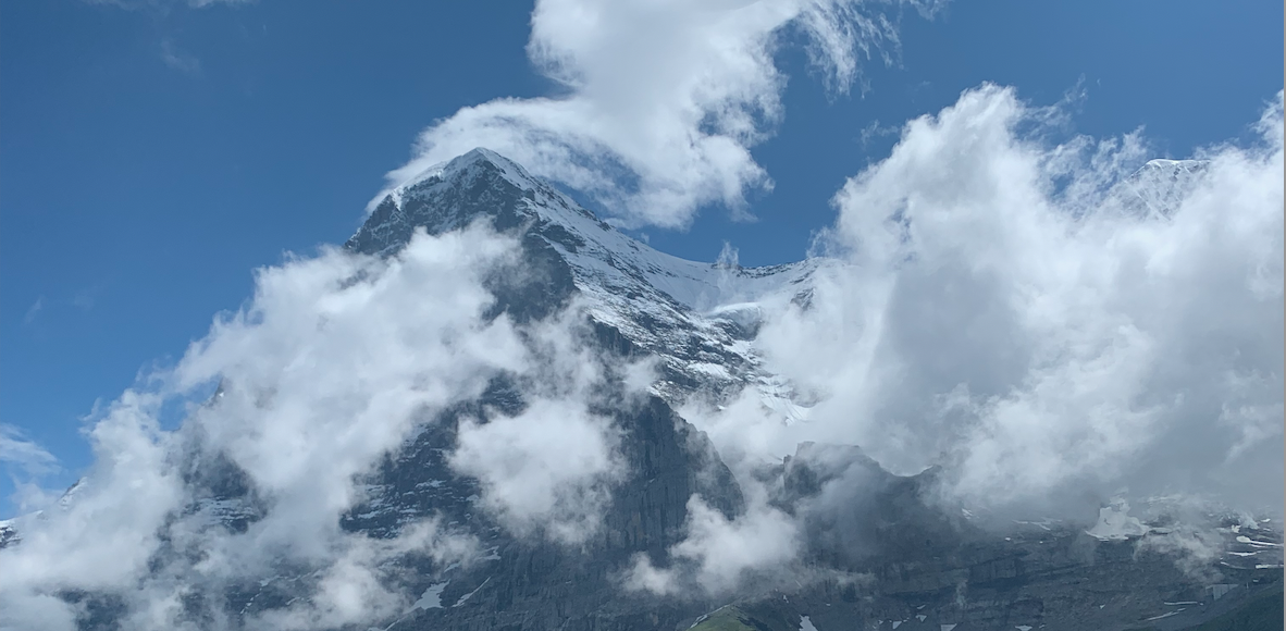 saralmdavis's profile header