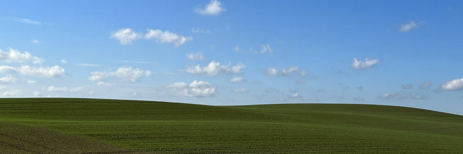 saumselig's profile header