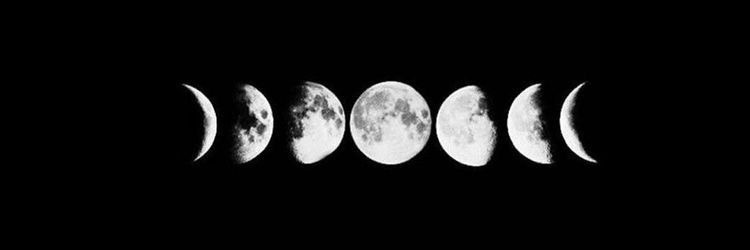 schemmentislove's profile header