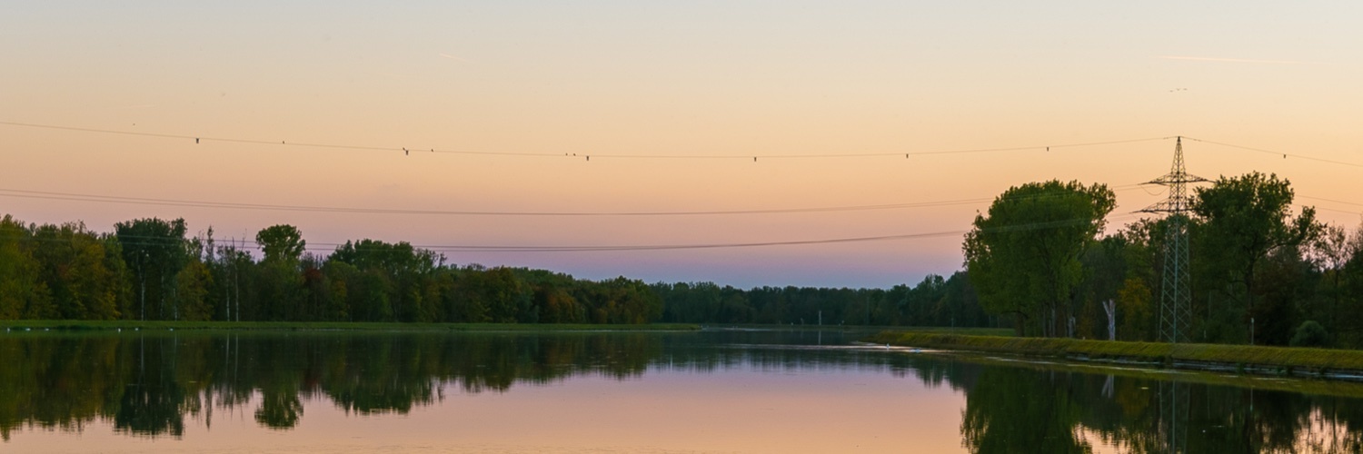 teilweise's profile header