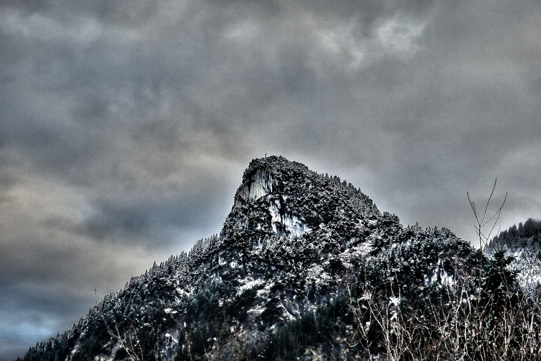 simerl's profile header