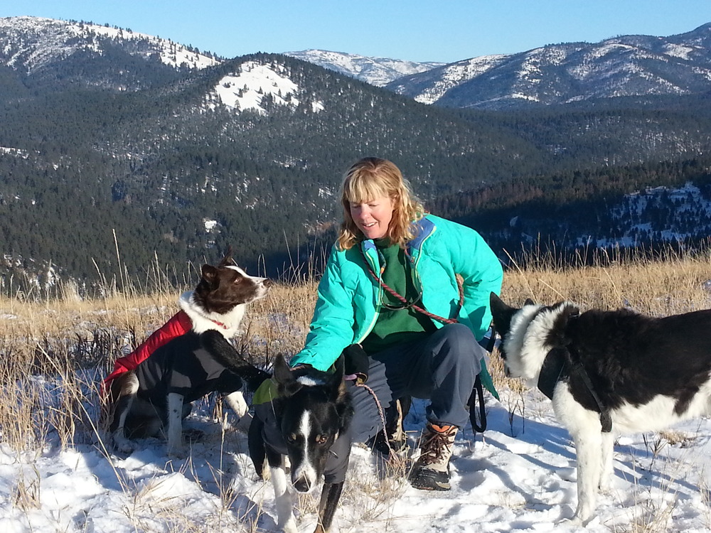 wendyparciak's profile header