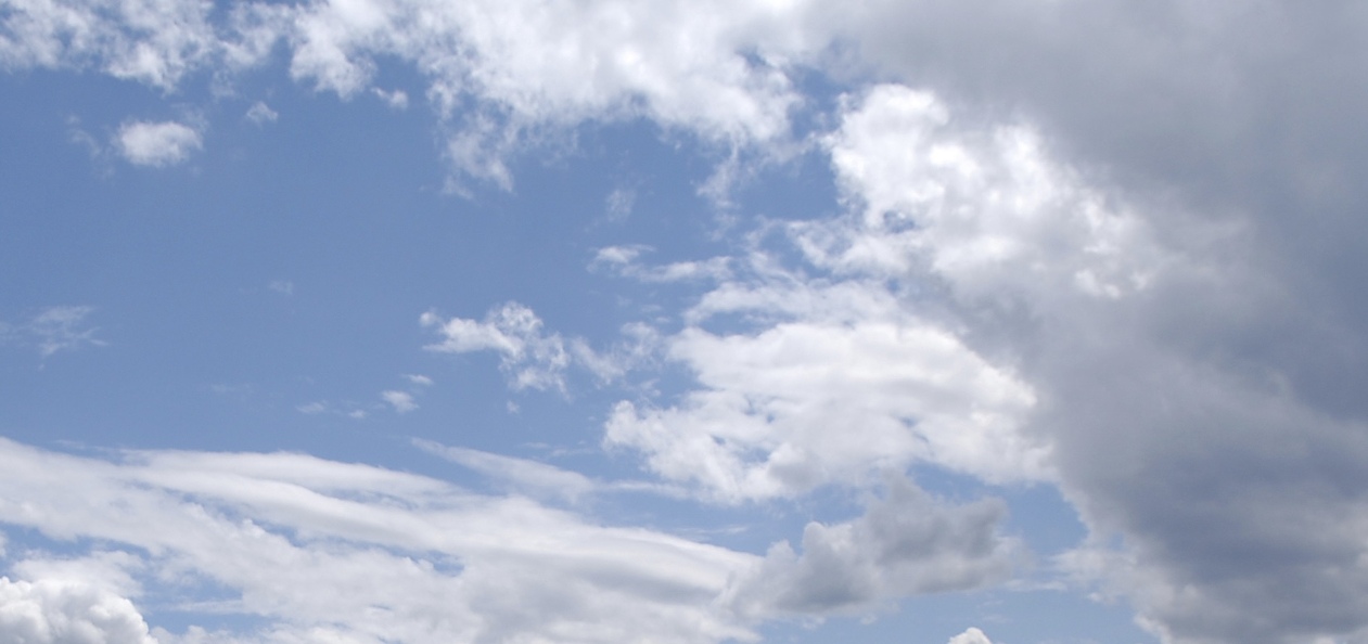 nadjahahn's profile header