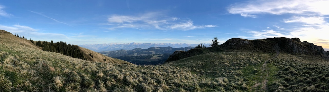domiden's profile header