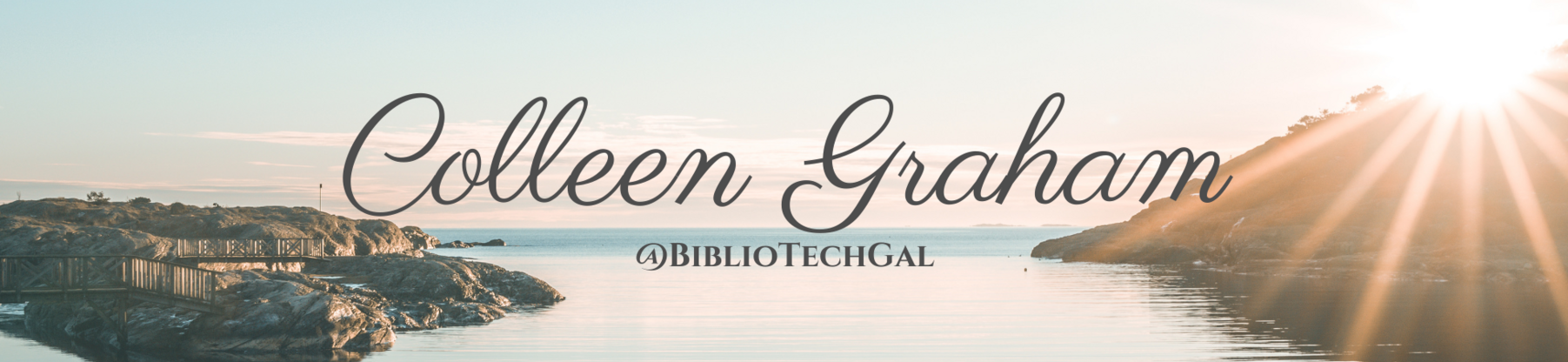 BiblioTechGal's profile header