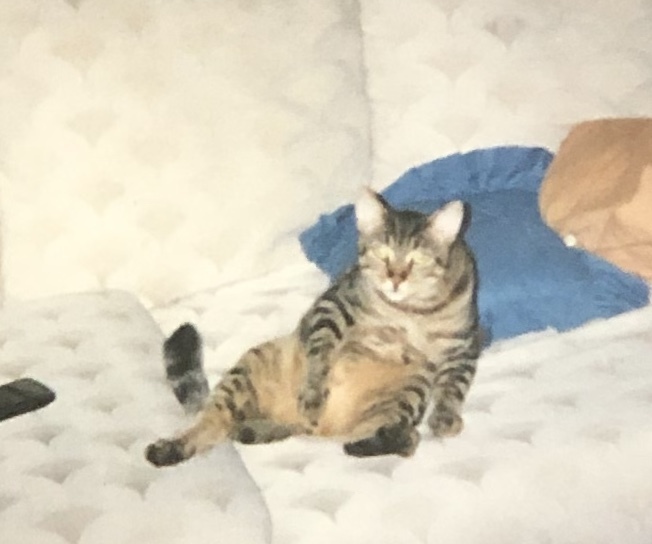 LaCassandra's profile header