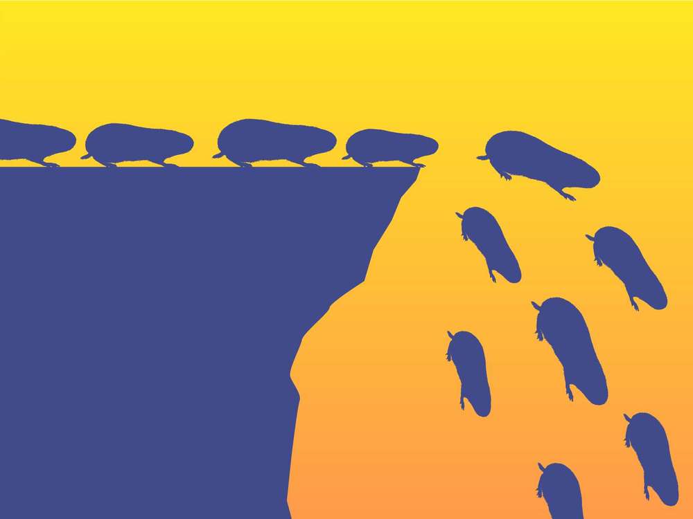 demoncat's profile header