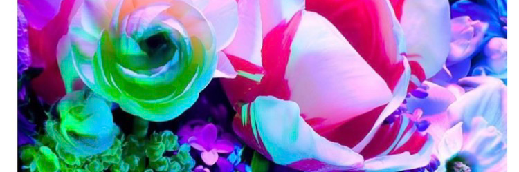nursejulie818's profile header