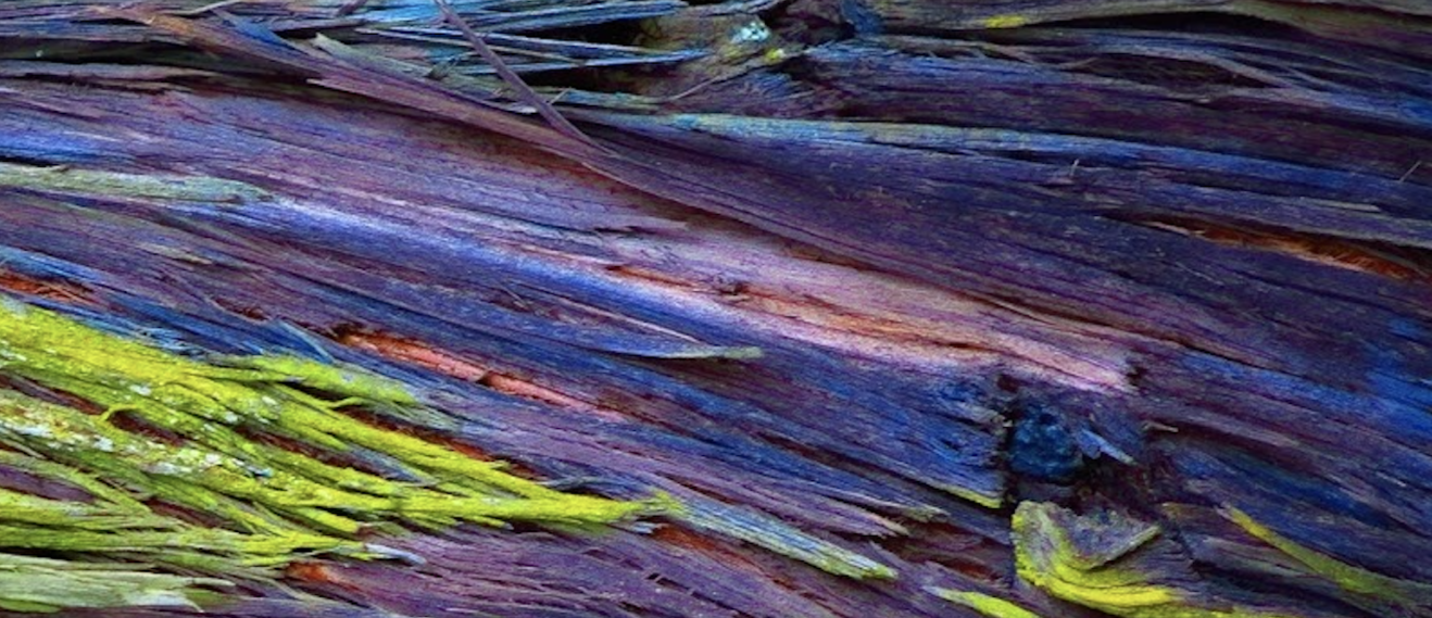 alternatemily's profile header
