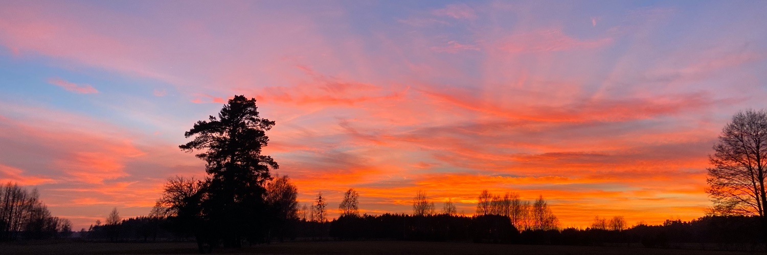 adamwarski's profile header
