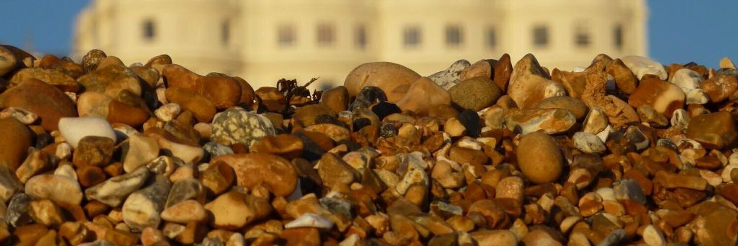 lippyduck's profile header