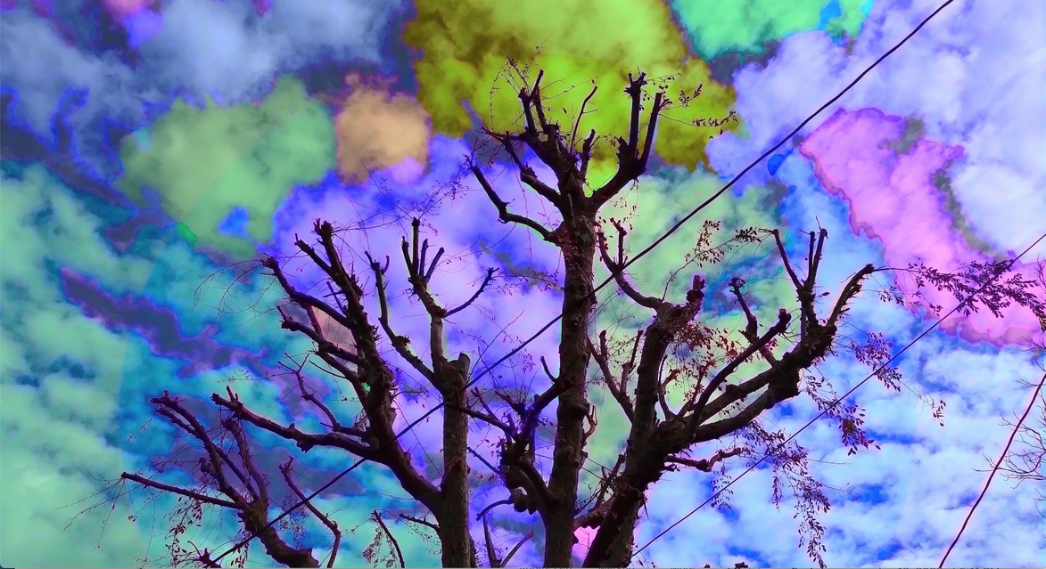 waterdrinkerlucas's profile header