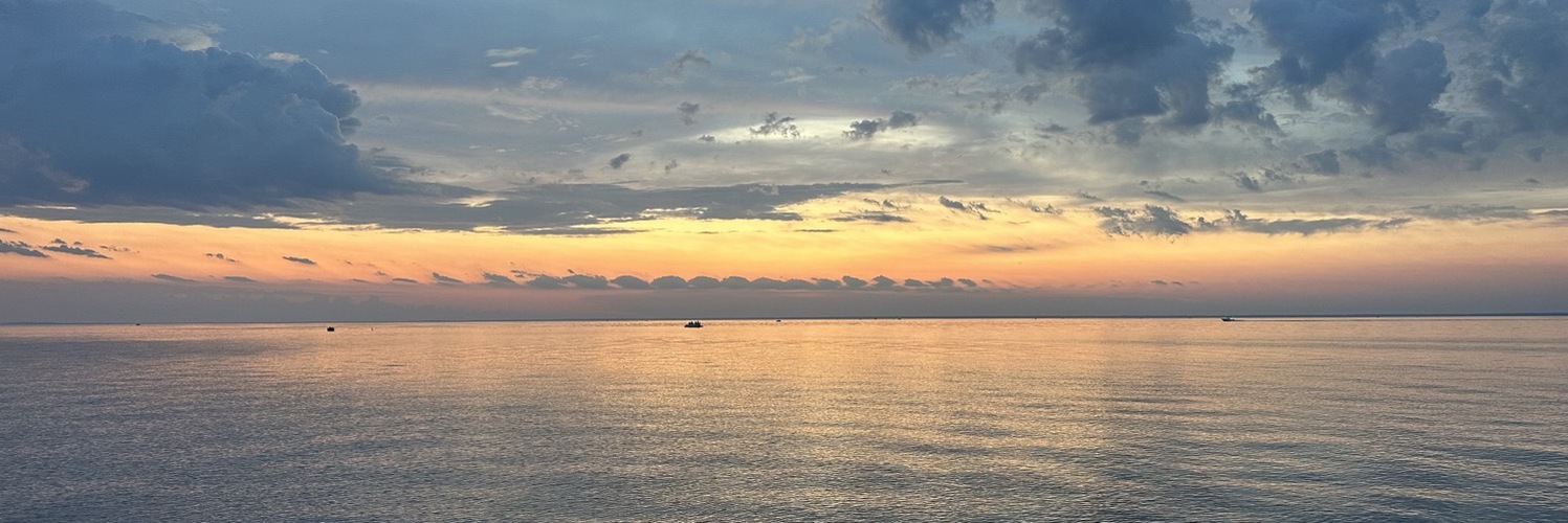 litzinger's profile header