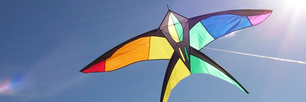 Urban_Hermit's profile header