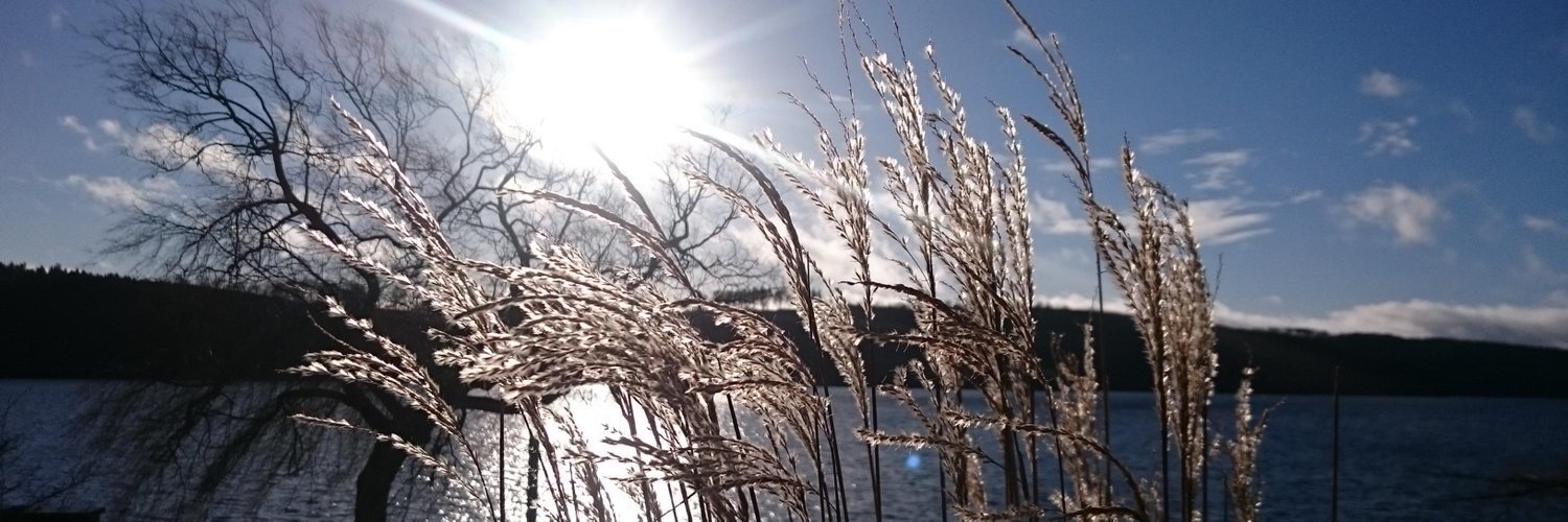 hgdrn's profile header