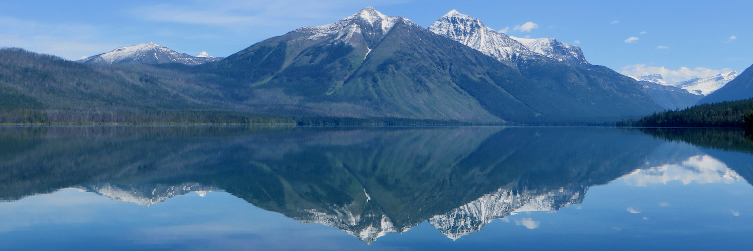 shaugn's profile header