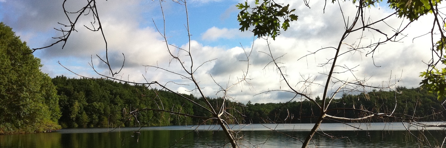 digitalthoreau's profile header