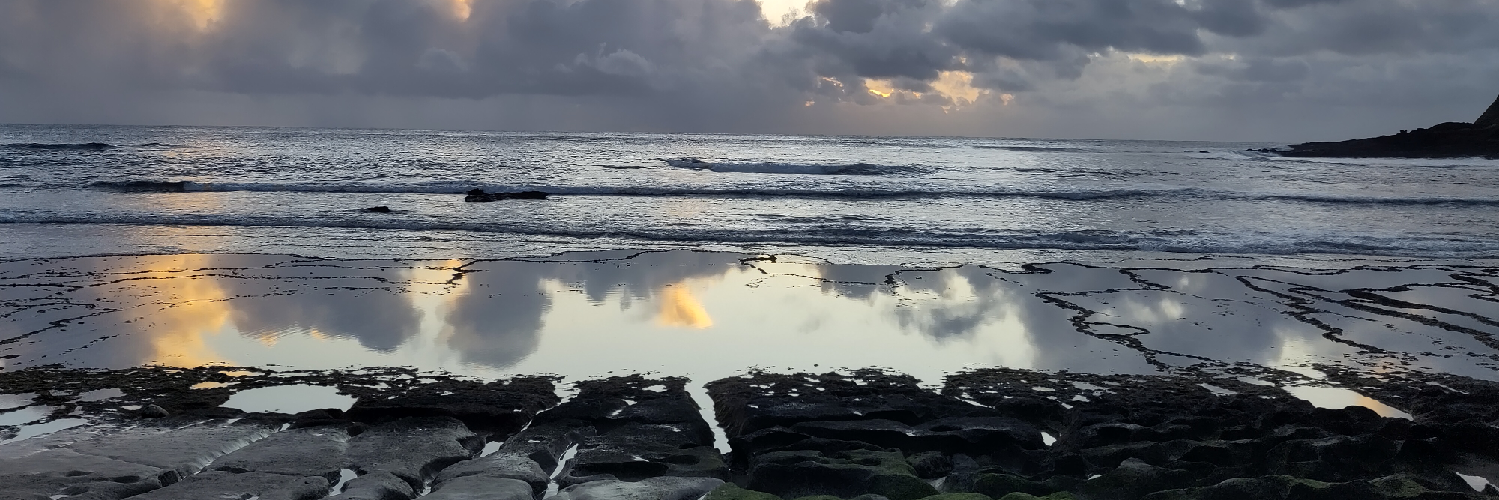 TheLabAndField's profile header