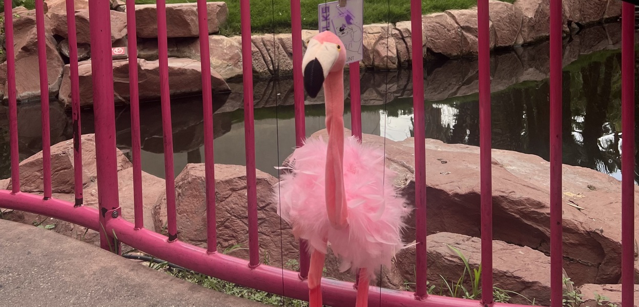 sashatheflamingo's profile header