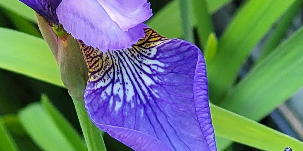 d_zwoelfer's profile header