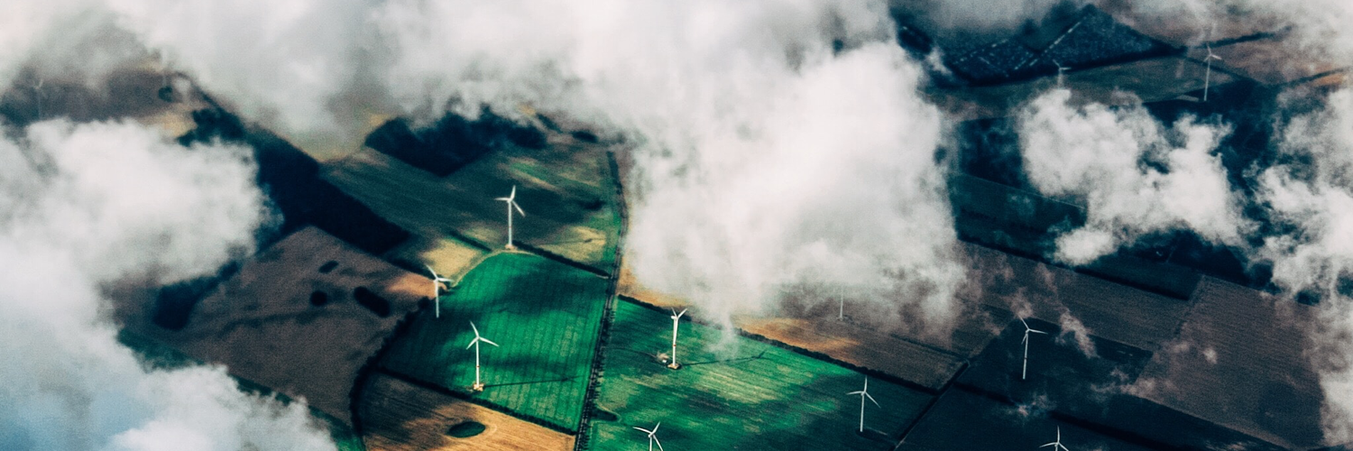 Renewablereads's profile header