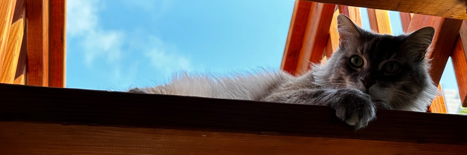 nickoneill's profile header