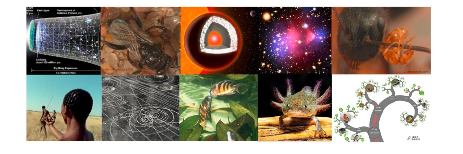 XCsci's profile header
