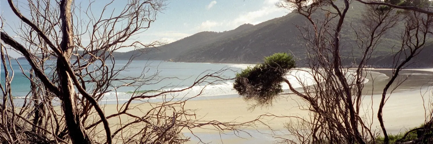 mnordmeyer's profile header