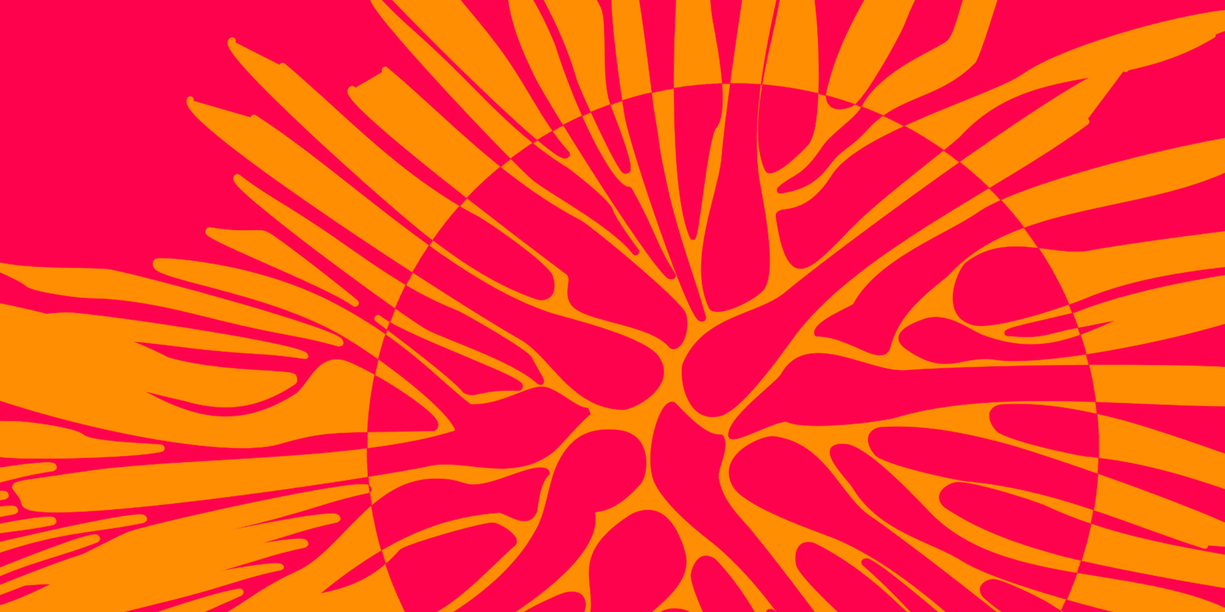 PrimaveraZY's profile header
