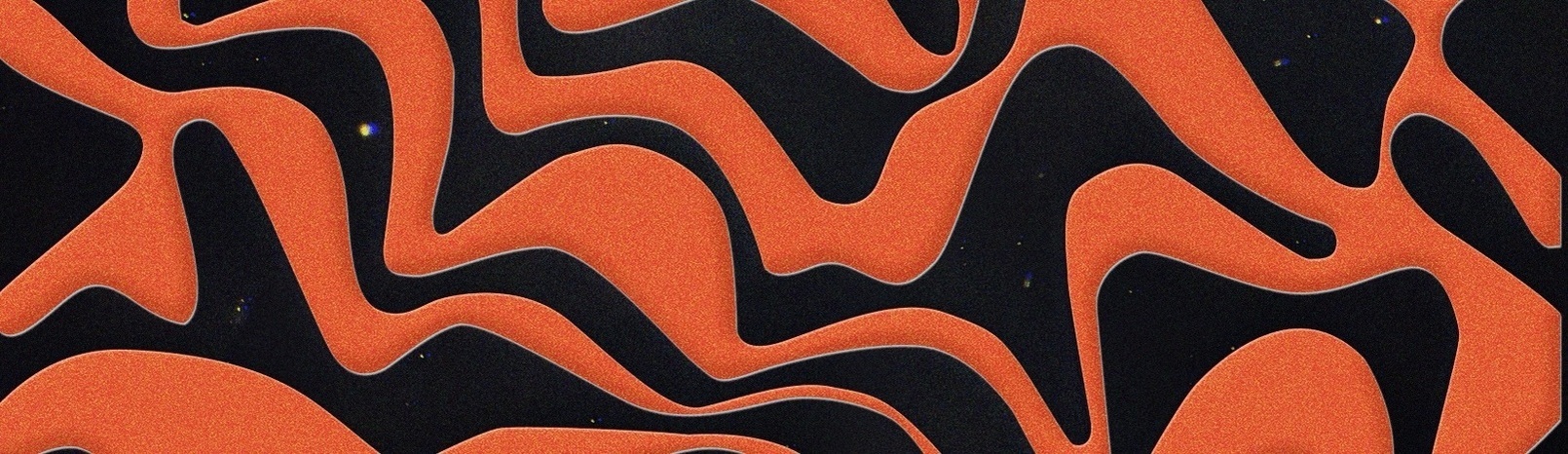 nadinenoll's profile header