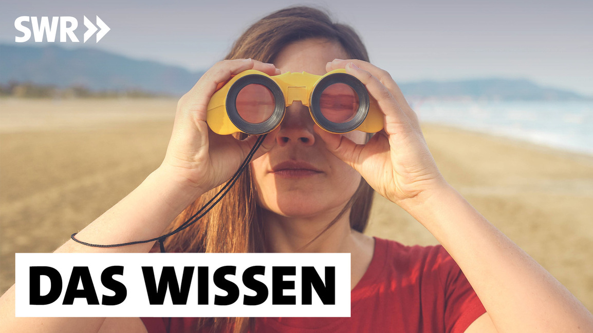 DasWissen's profile header
